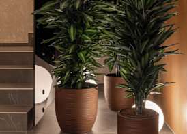 Garni Hotel Galeria 3