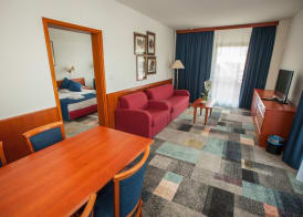 Hotel Toplice - Terme Čatež 5