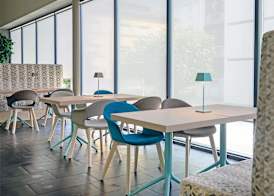 ibis Locarno 3