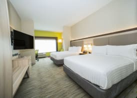 Holiday Inn Express & Suites SOUTHAVEN CENTRAL - MEMPHIS by IHG 2
