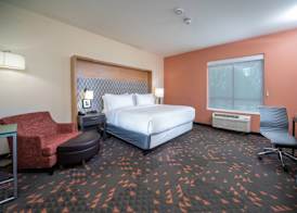 Holiday Inn ST. LOUIS - CREVE COEUR by IHG 5