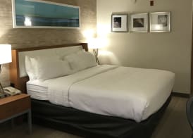 Holiday Inn & Suites BOLINGBROOK by IHG 3