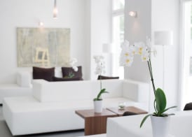 Hotel Constantia 2