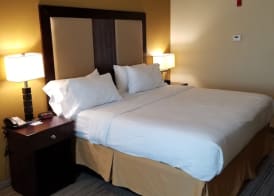 Holiday Inn Express & Suites GULF SHORES by IHG 3