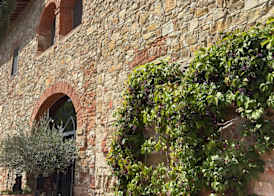 Terre di Baccio 2