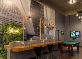 ibis Paulinia 2