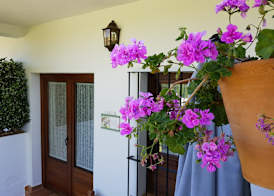 Hotel Apartamento Rural Finca La Media Legua 2
