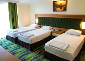 Forest Park Hotel 4