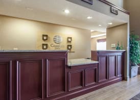 Comfort Inn Lexington South 4