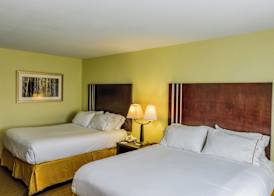 Holiday Inn Express & Suites HAMBURG by IHG 5