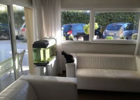 Hotel Viking 2