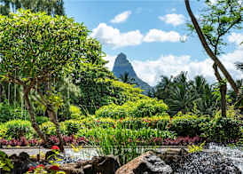 Hilton Mauritius Resort & Spa 3