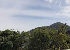 Praew Mansion 2