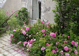 Au Moulin Géant 4