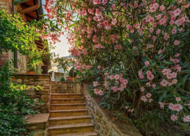 Agriturismo Casanova di Pescille 3