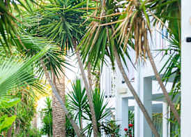 Happy Days Beach Hotel 5