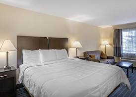 Best Western Parkside Inn 5