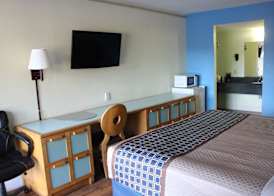 Tampa Inn Near Busch Gardens 5