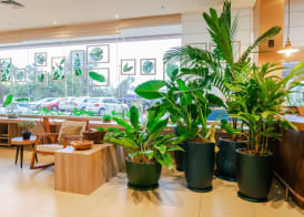 ibis Styles Curitiba Aeroporto 2