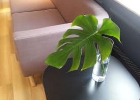 Best Western Hotel Park Astoria 3