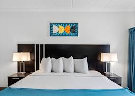 OASIS BAY SUITES, Tampa, Busch Gardens, USF 4