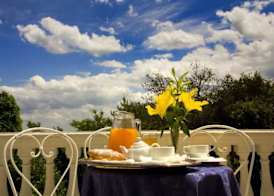 Hotel Alexander Palme 5
