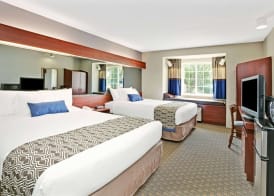 Microtel Inn & Suites by Wyndham Roseville/Detroit Area 5