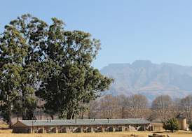 Ardmore Guest Farm 2