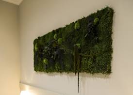Demetra Eco Guest House 4