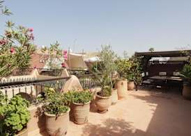 Riad Massiba 5