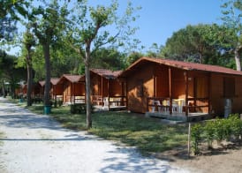 Club del Sole Viareggio Family Collection 3