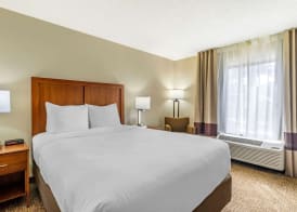 Comfort Inn & Suites St Pete - Clearwater International Airport 4