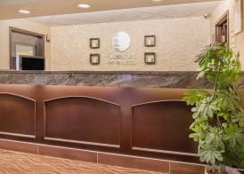 Comfort Inn & Suites University 2
