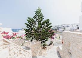 Paliomylos Spa Hotel 3