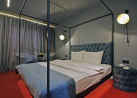 Vitosha Park Hotel - Free Pool & Gym 5