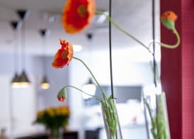 Brit Hotel Belfort Centre-Le Boreal 3