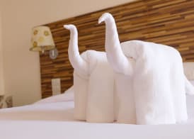 Dhotel Pattaya 5