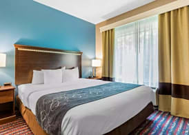 Comfort Suites Fairview Heights Saint Louis 3