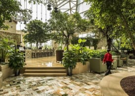 InterContinental Hotels CHENGDU GLOBAL CENTER by IHG 3