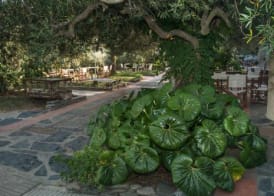 Hotel Cala Joncols 4
