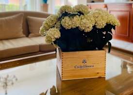 Hotel La Pigna 2