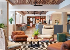 Wayfinder Waikiki - Voted Top 10 Best Hotels in Hawaii! 2
