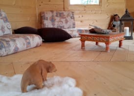 Les Hauts de Hurlevents - Le Buffalo 5