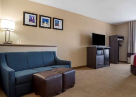 Comfort Suites Mobile West Tillmans Corner 4
