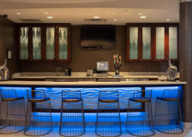 SpringHill Suites by Marriott Dallas Lewisville 3