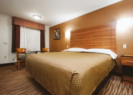 Palace Inn Wayside 5