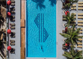 Palm Beach 4