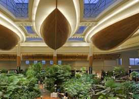 Grand Hyatt Dubai Resort & Waterpark 4