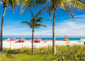 SLS by Accor South Beach 3