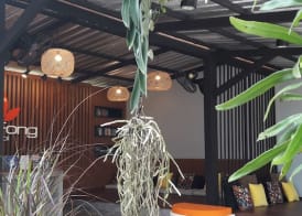 The Fong Krabi resort 5